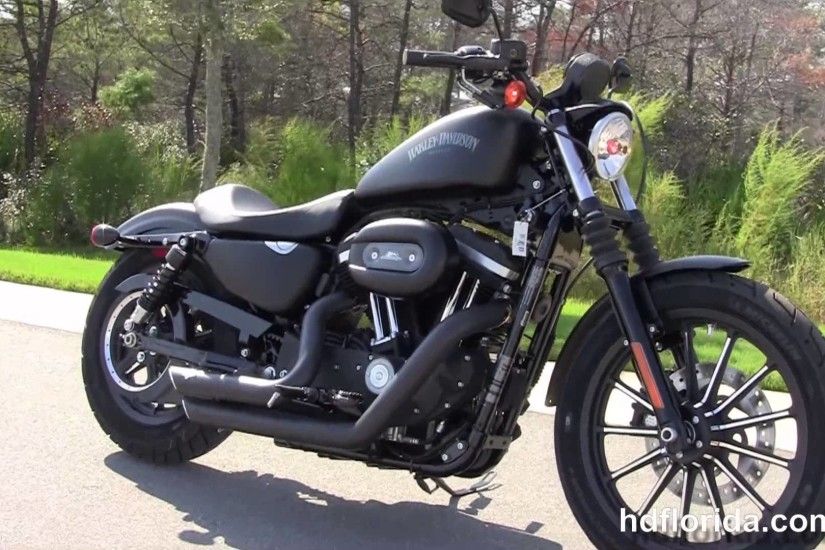Harley Davidson Iron 883 for Sale New New 2015 Harley Davidson Iron 883  Motorcycles for Sale