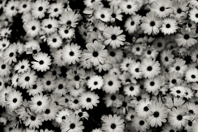 full size tumblr backgrounds black and white 1920x1200 windows 10