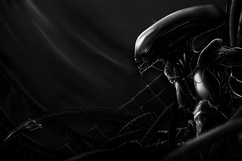 Movie - Alien Xenomorph Predator Wallpaper