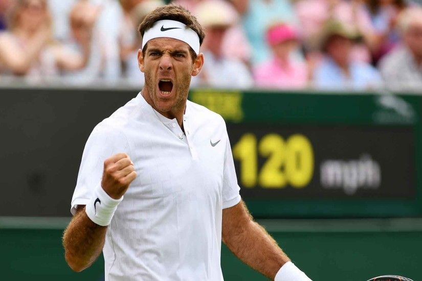 Del Potro Celebrates; Ferrer Ousts Gasquet At Wimbledon | ATP World Tour |  Tennis