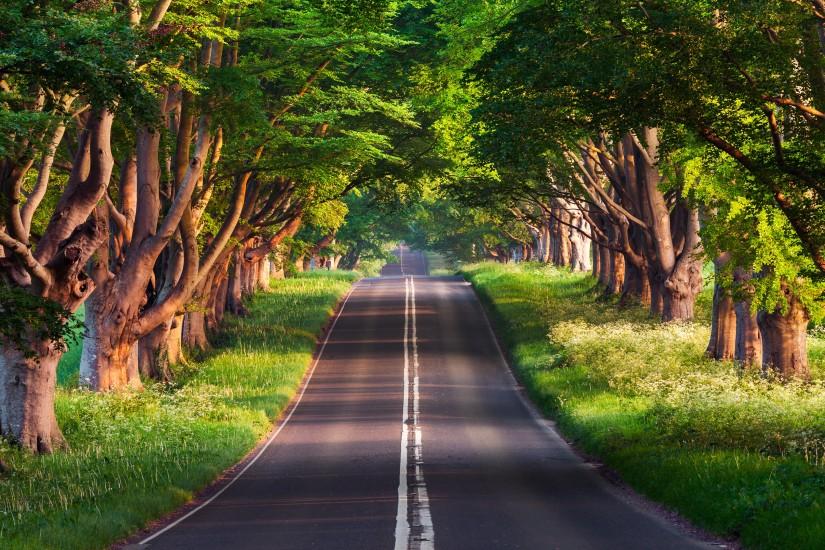 road background 3840x2160 for iphone 7