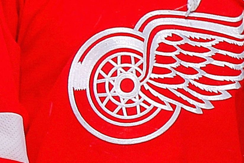 NHL, Red Wings considering legal action after team logo used at white  nationalist rally | NHL | Sporting News