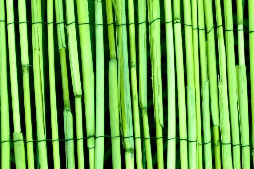 bamboo background 1920x1080 for iphone 5