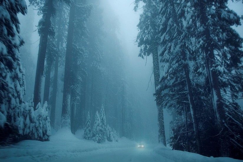 cool nature winter snow tree trees road vehicle car cold mood forest free  images wallpaper Check
