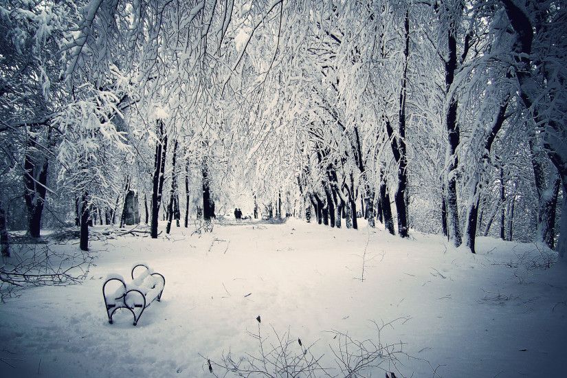 Winter Snow Scenes | Free Vector Download
