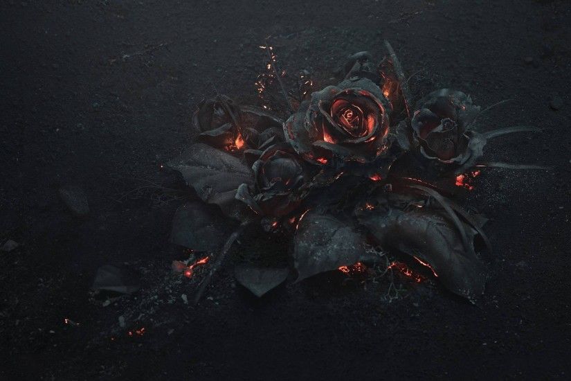 General 2560x1440 flowers rose fire Gothic