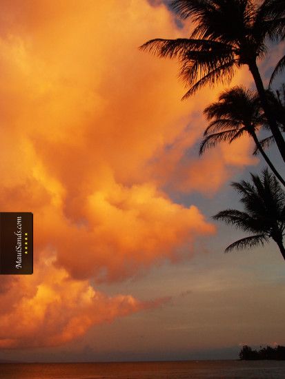 Click here to download the free Hawaii Sunset HD background wallpaper ...