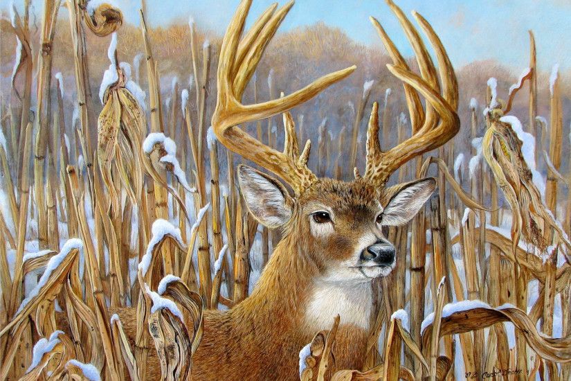 Whitetail Deer Wallpaper 73