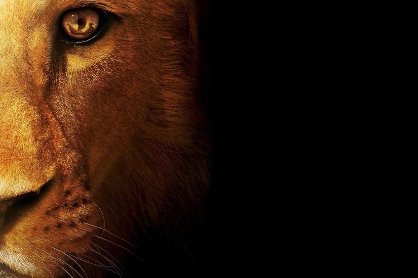 Hd picture Â· Lion Wallpapers Images