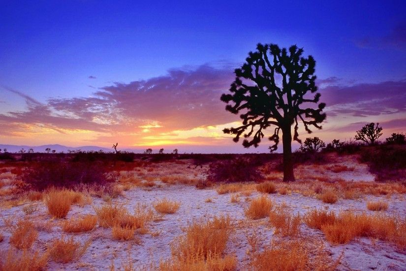desert image: High Definition Backgrounds, 2560x1600 (721 kB)