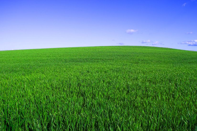 wallpapers-hitman-grass-field-green-sky-horizon-landscapes-