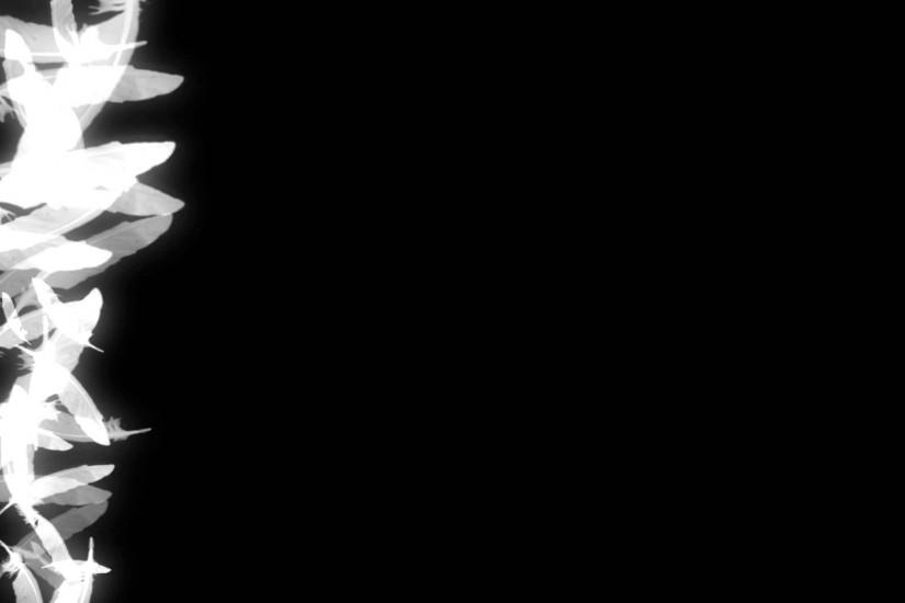 FREE FOOTAGE HD Black Background ANIMATION Lateral White Feather