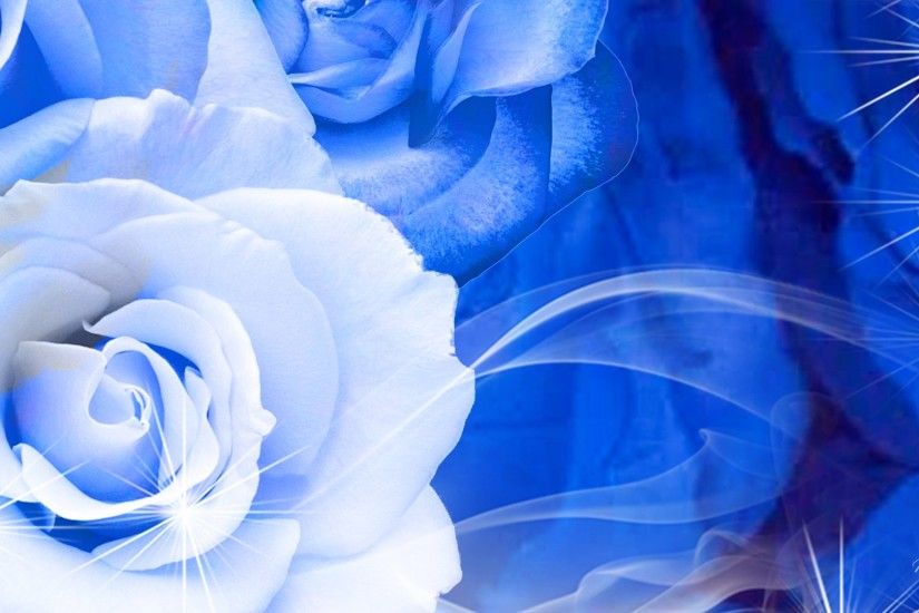 Blue And White Rose Wallpaper 6 Hd Wallpaper