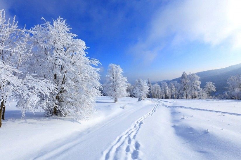 1920x1200 Winter Background HD Wallpapers