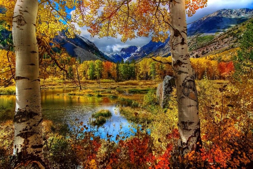 Wallpaper Autumn, Birch, Color, Paint, Plants, Pond, Mountain, Russia,  Landscape