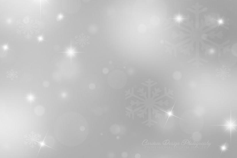 silver background 2310x1705 image