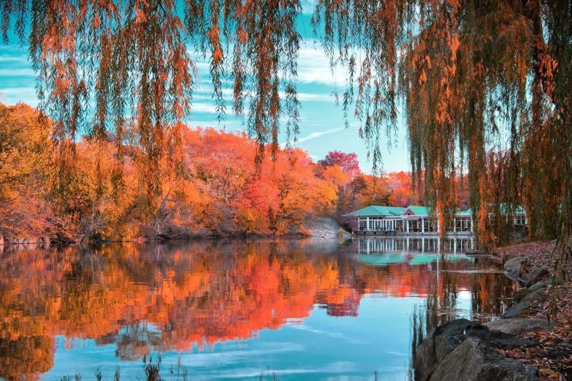 Preview wallpaper central park, new york, autumn, beautiful landscape  3840x2160