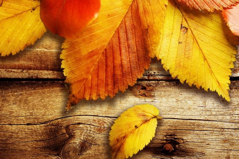 Autumn Leaves Wallpaper Desktop