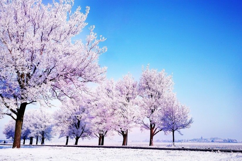 winter, free stock photosnature backgrounds, nature, mac, hd nature  wallpapers, landscape, snow Wallpaper HD