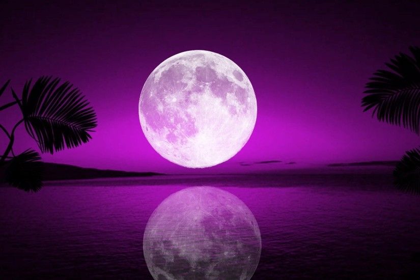 tropical-moon-free-hd-wallpapers-for-desktop