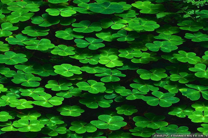 Happy S.T Patrick's Day My Fans images Happy Saint Patrick's Day HD  wallpaper and background photos