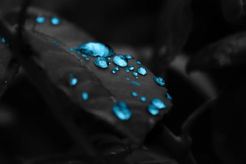 The Leaves Dew Mac HD Wallpaper Photography, Amazing, Wallpapers, HD,  Beautiful,