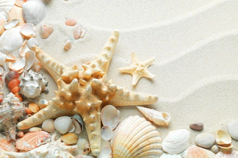 Sea Shells HD Wallpaper