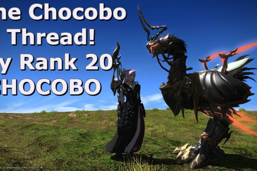 ãFINAL FANTASY XIVãHeavensward: The Chocobo Thread "My Rank 20 Chocobo  (Guide)" - YouTube