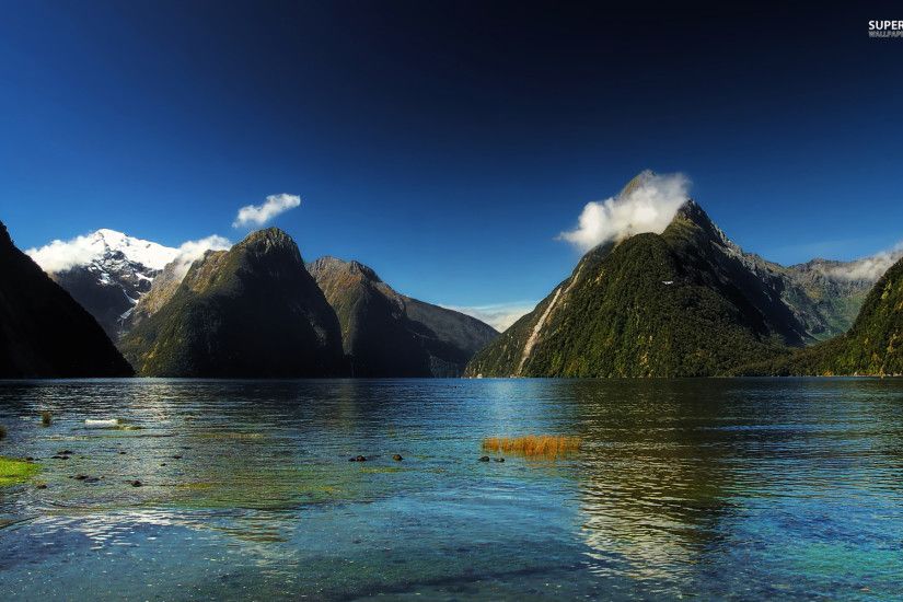 Milford Sound New Zealand wallpapers and stock photos