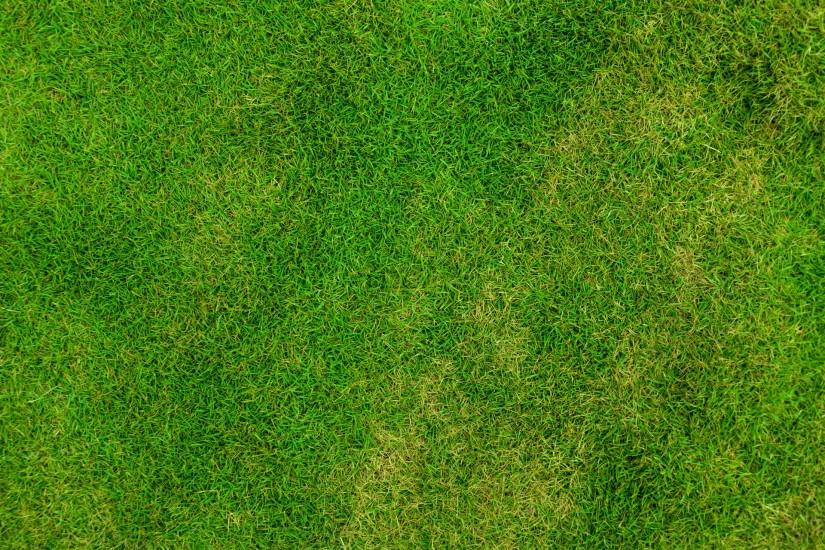 top grass background 1920x1280 download free