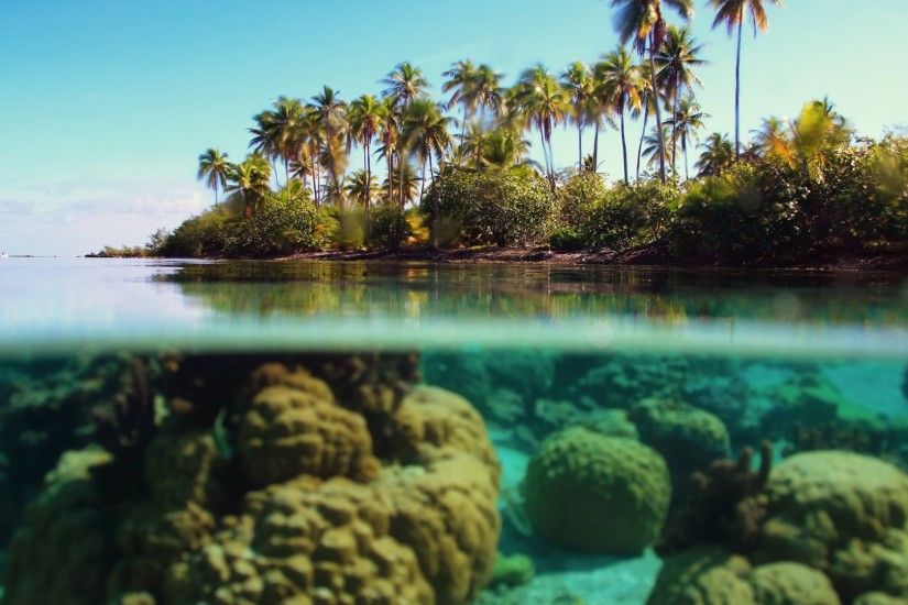 Bora Bora Coral & Beaches HD Wallpaper. Â« Â»