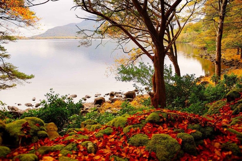 Lakes Autumn Landscape Lake Trees Desktop Wallpaper Latest Nature