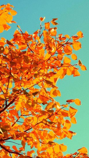 Fall Tree Art iPhone 5s Wallpaper Download | iPhone Wallpapers, iPad  wallpapers One-stop