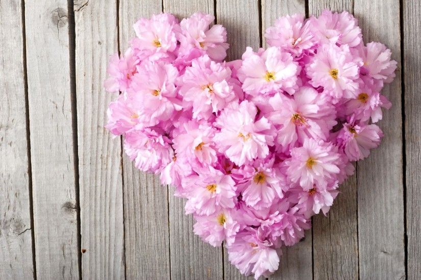 floral heart pink love flower heart