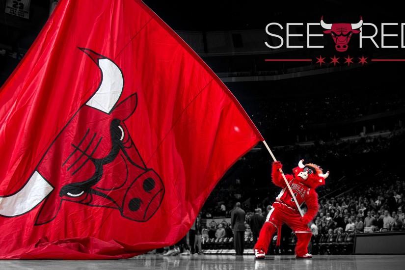 Chicago Bulls | 2014 NBA Playoffs | See Red