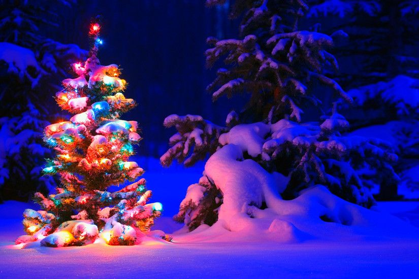 Snowy Christmas Tree Lights