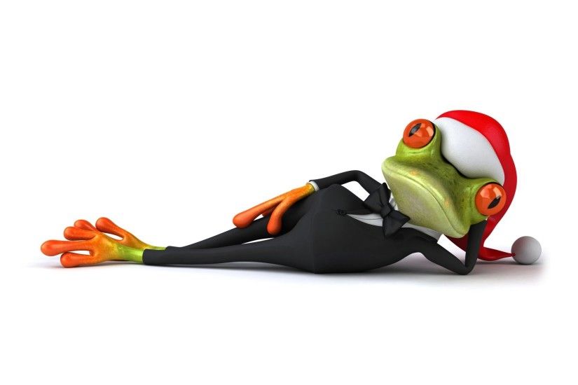 3d funny frog christmas santa hat frog