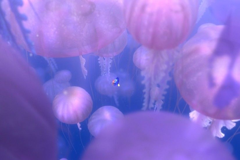 FINDING NEMO animation underwater sea ocean tropical fish adventure family  comedy drama disney 1finding-nemo jellyfish wallpaper | 1920x1080 | 567480  | ...