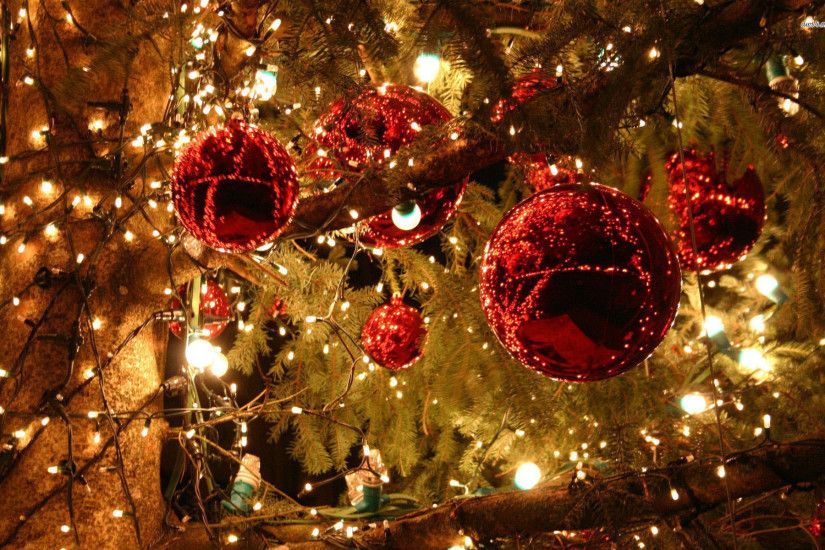 Net Christmas Tree Lights Snow Forest Holiday Desktop Wallpaper ...