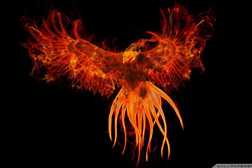 phoenix bird ~ 9