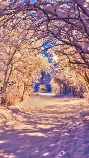 winter snow tree road iphone 6 wallpapers HD