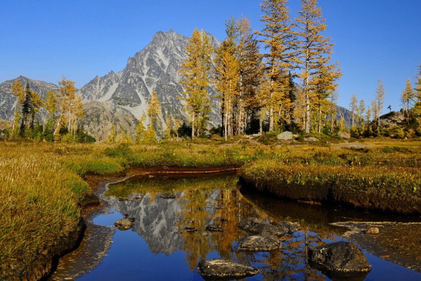 Autumn trees in the rocky mountains wallpaper