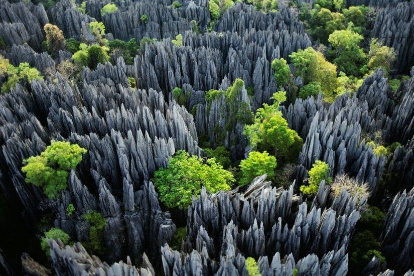 stones, Madagascar, Trees, Erosion, Tropical, Nature, Landscape, Limestone  Wallpapers HD / Desktop and Mobile Backgrounds