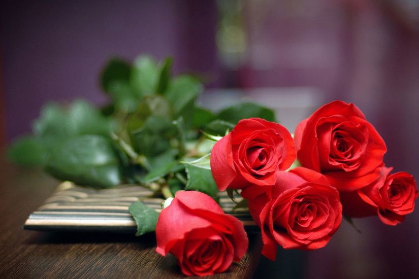 hd pics photos red roses of love on table desktop background wallpaper