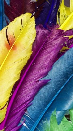 Colorful Feathers Background Android Wallpaper ...