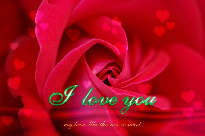 Red Rose I Love U Quotes Knumathise Red Rose I Love You Wallpaper Images