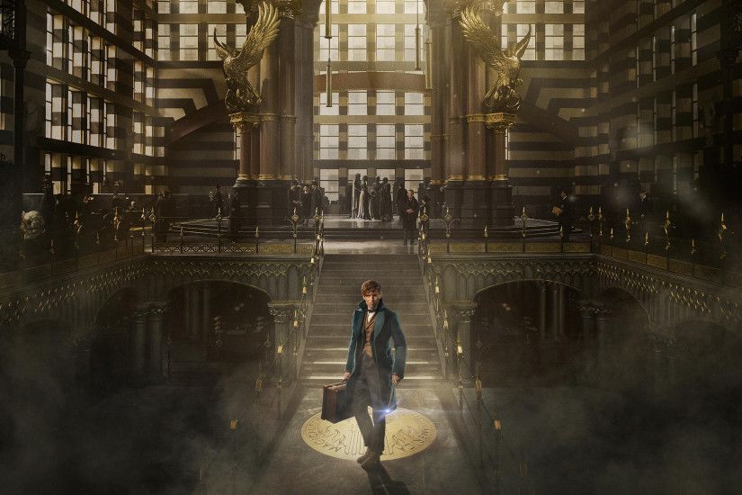 Fantastic Beasts and Where to Find Them 2016 wallpaper Â· Harry Potter MoviesHarry  Potter StuffDesktop ...