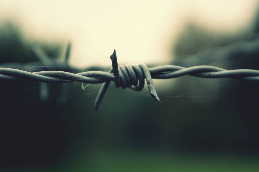 Barbed Wire Wallpaper Amazing Decoration 615716 Decorating Ideas .