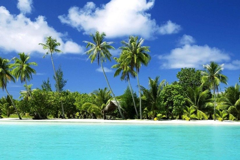 Image detail for Exotic Tropical Island Wallpapers Tropical Retreat – Free .