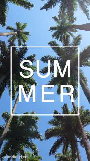 Summer Palm Tree Ocean background wallpaper you can download for free on  the blog! For
